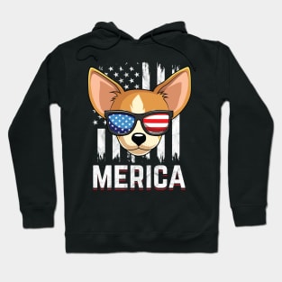 Chihuahua Dog American Flag Sunglasses Patriotic Hoodie